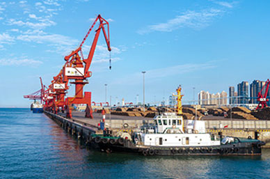 Import and export customs clearance